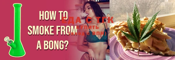 индика Мегион