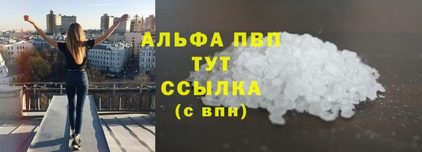 индика Мегион