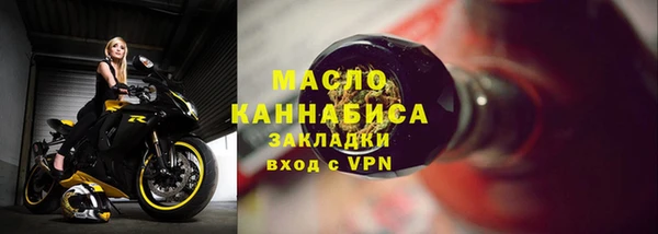 индика Мегион