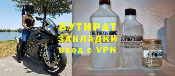 индика Мегион