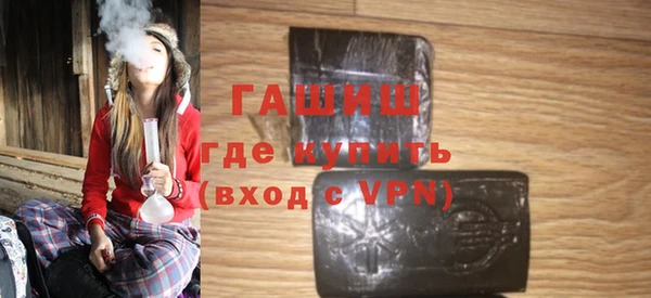 индика Мегион